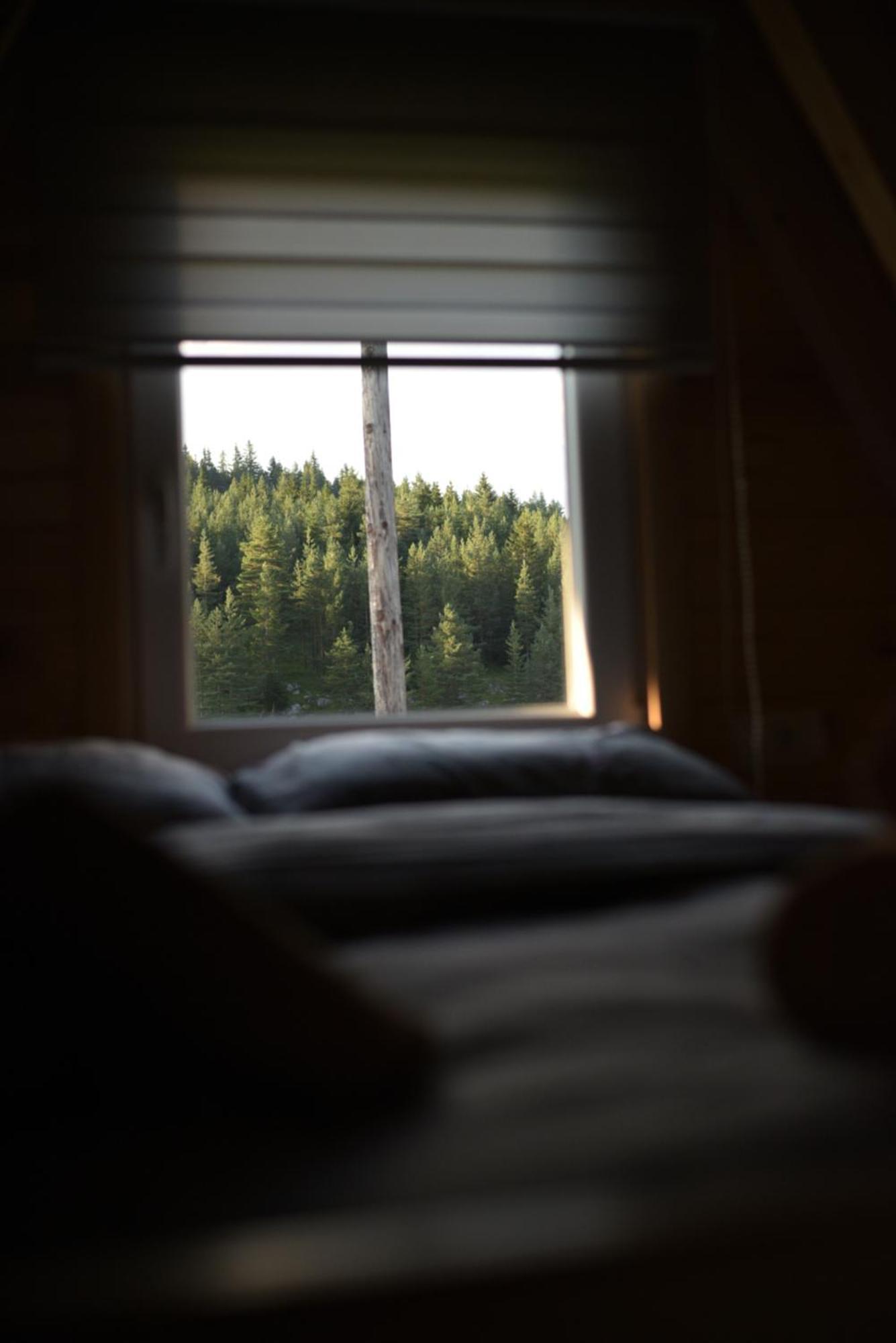 Mountain Paradise Cabins Žabljak Eksteriør billede